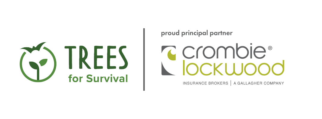 Crombie lockwood logo